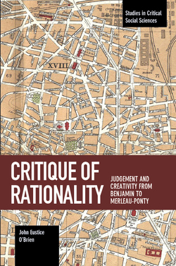 Critique of Rationality