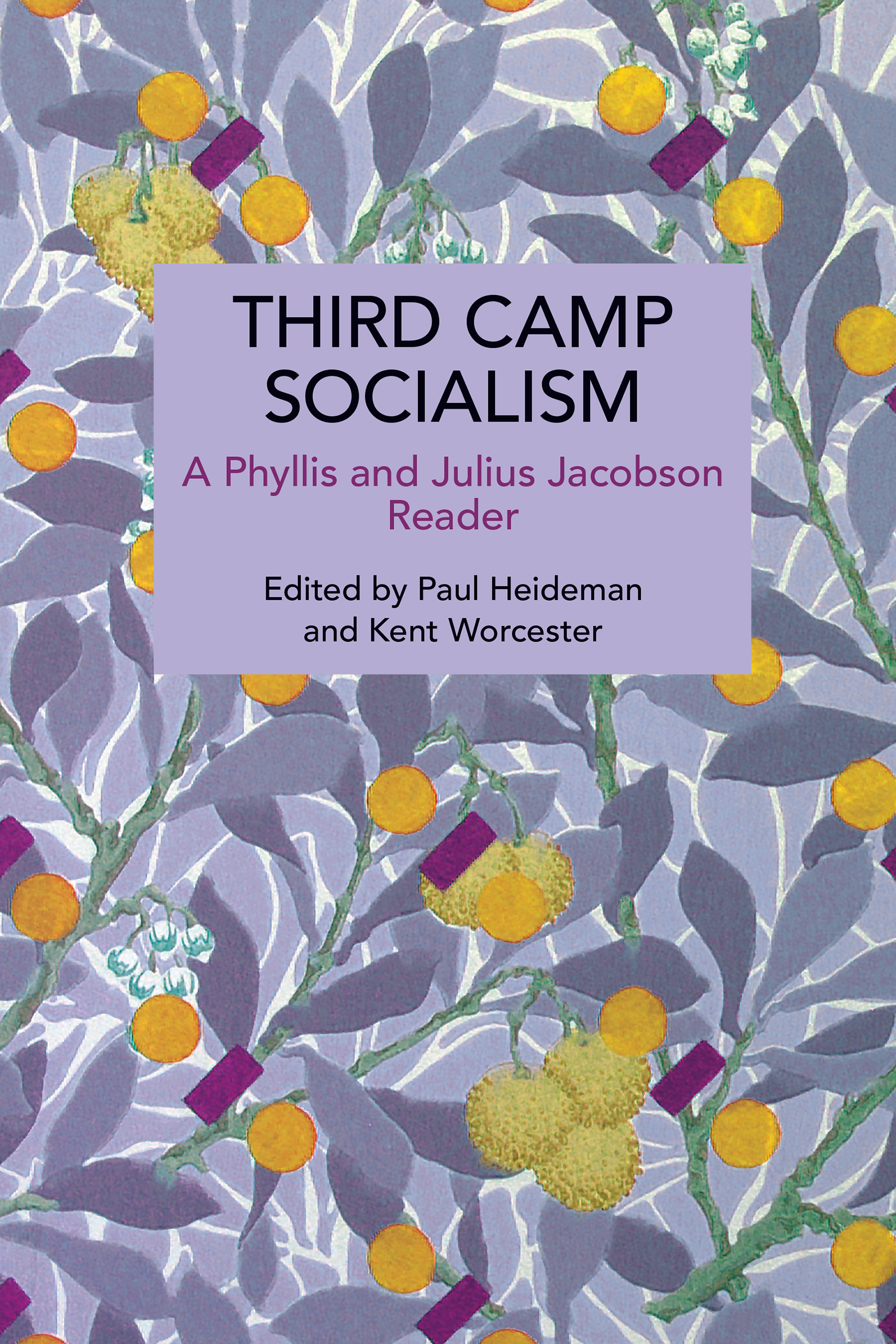 Third Camp Socialism | HaymarketBooks.orgThird Camp Socialism ...