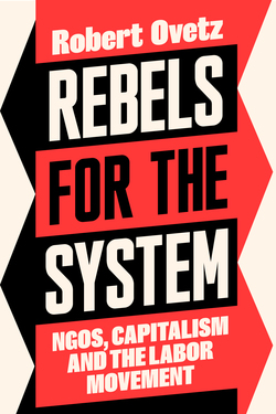 Rebels for the System